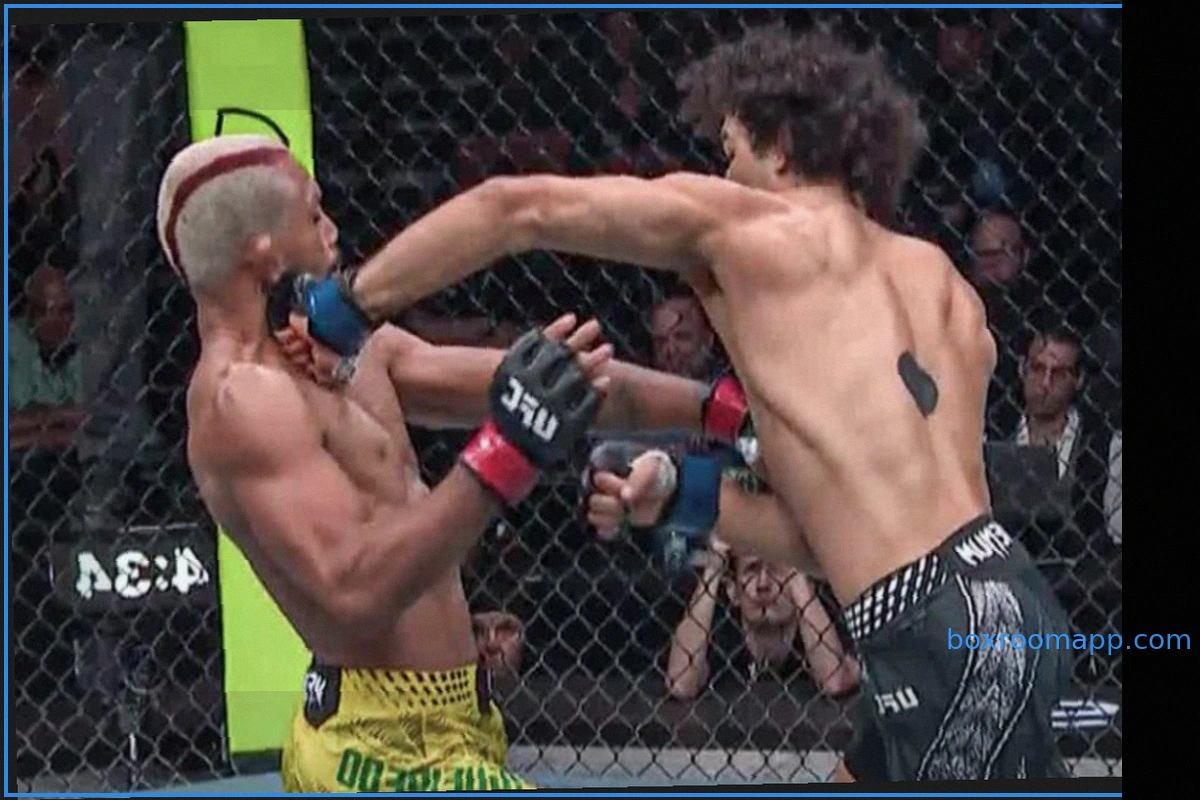 UFC 332: Payton Talbott Stuns Deiveson Figueiredo with First-Round TKO